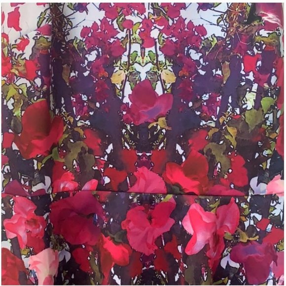 ted baker bloomze flowered lattice skater dress size 0 nwot - Picture 13 of 14